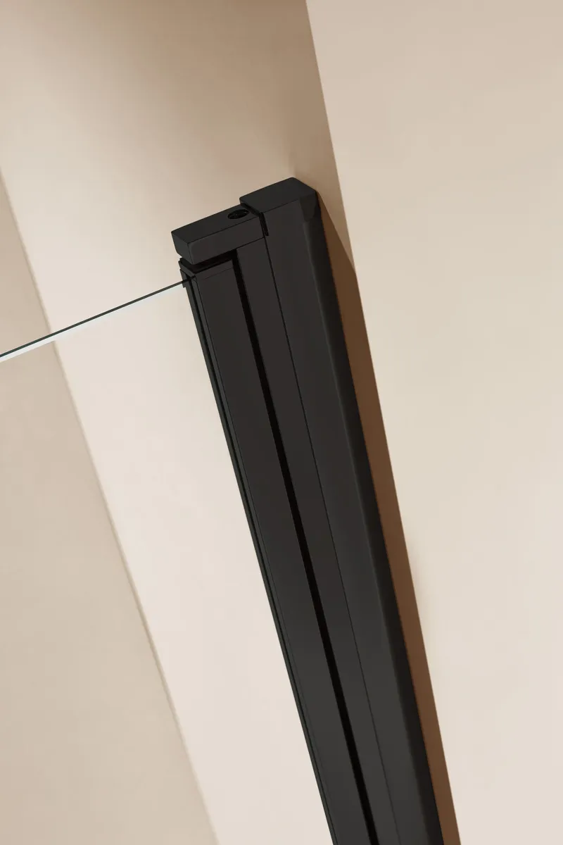 Душевая дверь Cezares Eco 80x190 мм, прямоугольная, nero (ECO-O-B-1-80-C-NERO)