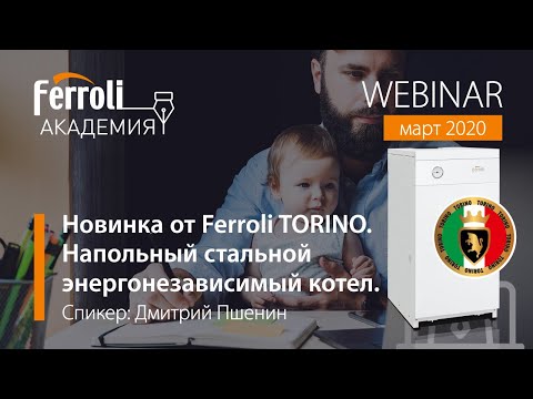 Газовый котел Ferroli Torino 12.5, одноконтурный Газовый котел Ferroli Torino 12.5, одноконтурный