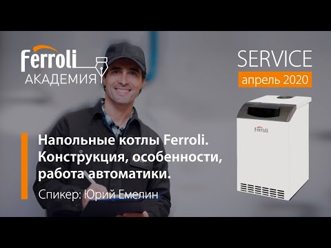 Котлел газовый напольный Ferroli Pegasus D 32, одноконтурный